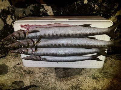 5f1d3b3f-8c70-408c-9995-a1d80ef953a8.jpeg 5f1d3b3f-8c70-408c-9995-a1d80ef953a8.jpeg