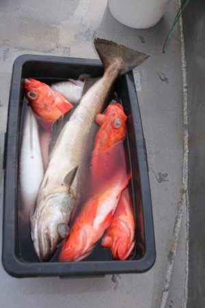 IMG_2483.JPG IMG_2483.JPG