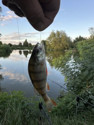 IMG_3218.jpeg