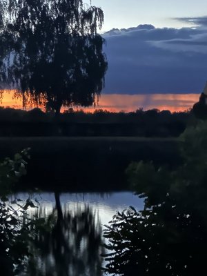 IMG_3221.jpeg