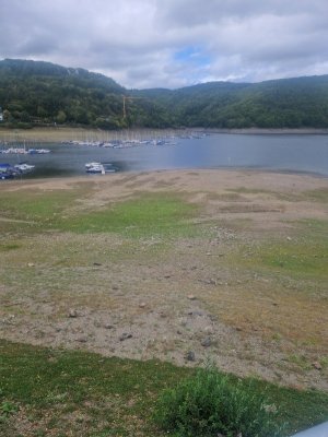 20250903_152032.jpg