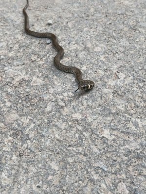 IMG_20250904_123831.jpg IMG_20250904_123831.jpg