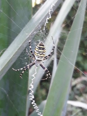 20250820_170538.jpg 20250820_170538.jpg