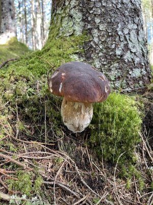 IMG_2530.jpeg
