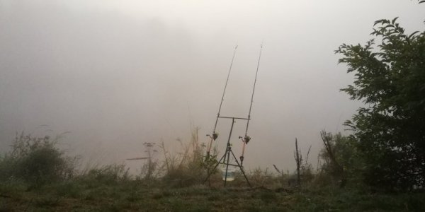 IMG_20250906_062311.jpg