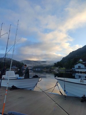 20250906_074110.jpg