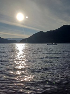 20250907_083437.jpg