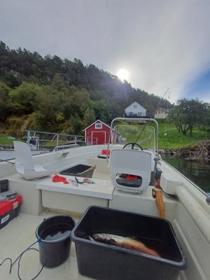 20250907_105451.jpg