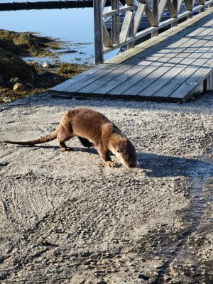 IMG_20250907_165912.jpeg IMG_20250907_165912.jpeg