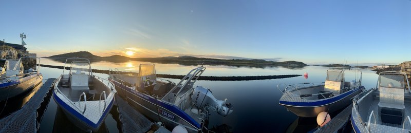 IMG_7938.jpeg IMG_7938.jpeg