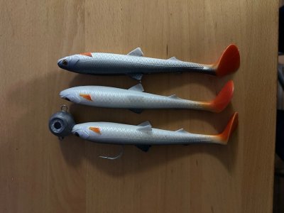 Norwegen5.jpg