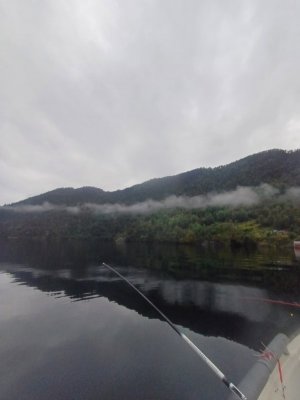 20250909_101414.jpg