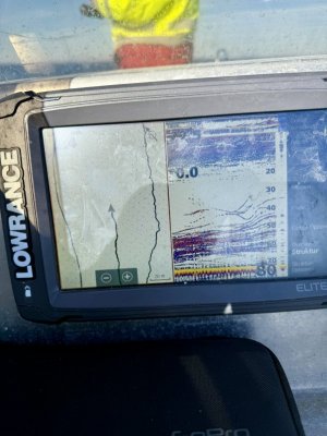 IMG_7942.jpeg IMG_7942.jpeg