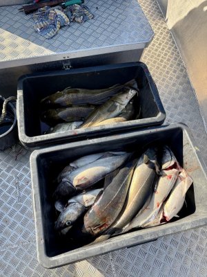 IMG_7946.jpeg IMG_7946.jpeg