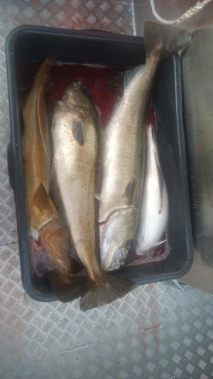 IMG-20250909-WA0003.jpeg IMG-20250909-WA0003.jpeg