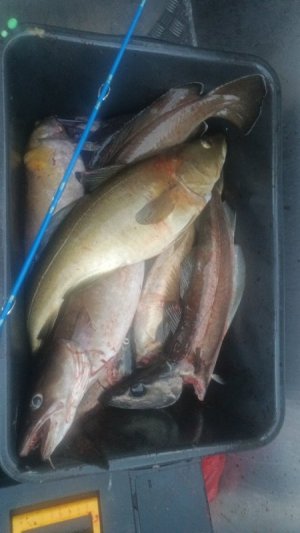 IMG-20250909-WA0002.jpeg IMG-20250909-WA0002.jpeg