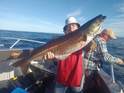 IMG_20250909_161600_374.jpg IMG_20250909_161600_374.jpg