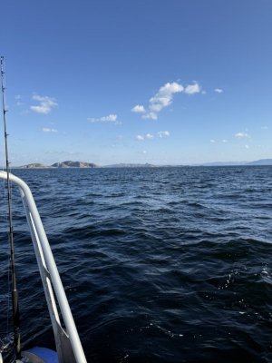 IMG_7991.jpeg IMG_7991.jpeg