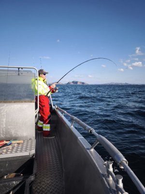 3e812433-aba9-49a5-aa6e-2c9a59213aac.jpeg 3e812433-aba9-49a5-aa6e-2c9a59213aac.jpeg