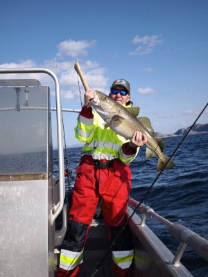 49accb69-81a5-4798-afa1-a68dc84ec3e1.jpeg 49accb69-81a5-4798-afa1-a68dc84ec3e1.jpeg