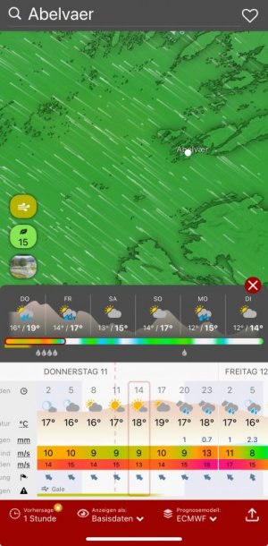 IMG_8015.jpeg IMG_8015.jpeg