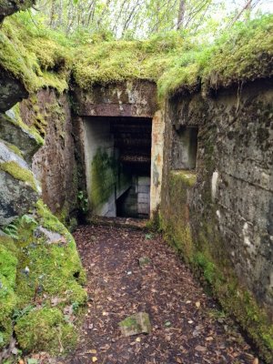 20250911_103109.jpg 20250911_103109.jpg