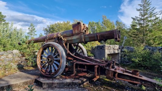 20250911_111740.jpg 20250911_111740.jpg