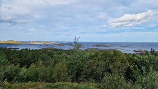 20250911_110121.jpg 20250911_110121.jpg