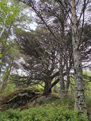 20250911_101558.jpg 20250911_101558.jpg