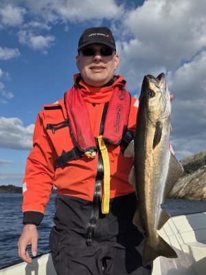 20250910_153537(1).jpg 20250910_153537(1).jpg