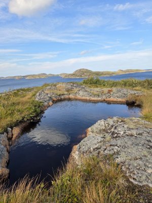 20250911_115457.jpg 20250911_115457.jpg