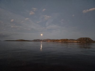 20250909_204644.jpg 20250909_204644.jpg