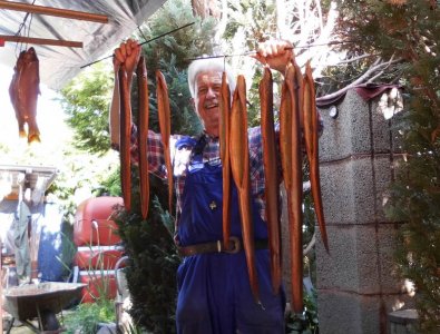 DSCI3796.JPG DSCI3796.JPG