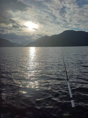 20250911_084410.jpg