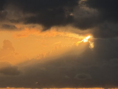 IMG_5800.JPG