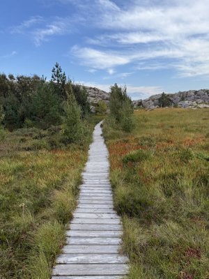 IMG_8401.jpeg IMG_8401.jpeg