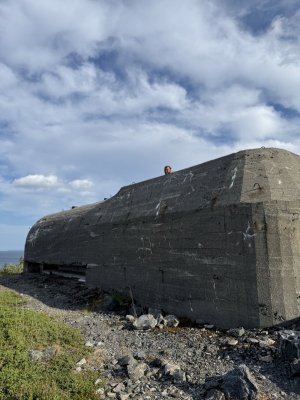 IMG_8420.jpeg IMG_8420.jpeg