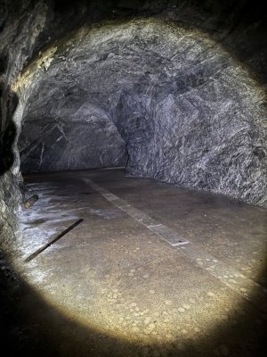 IMG_8419.jpeg IMG_8419.jpeg