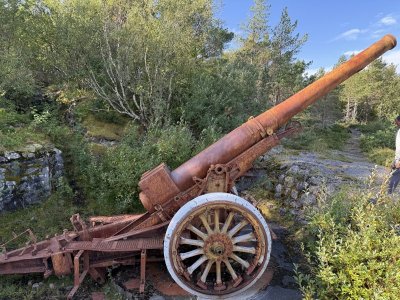 IMG_8443.jpeg IMG_8443.jpeg