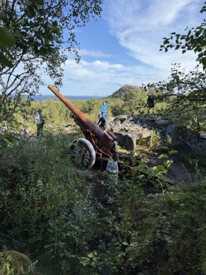 IMG_8444.jpeg IMG_8444.jpeg