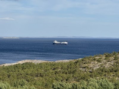 IMG_8451.jpeg IMG_8451.jpeg