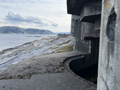 IMG_8471.jpeg IMG_8471.jpeg