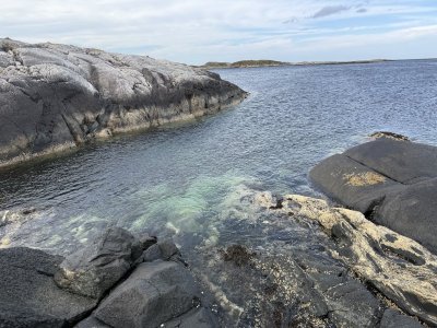 IMG_8492.jpeg IMG_8492.jpeg