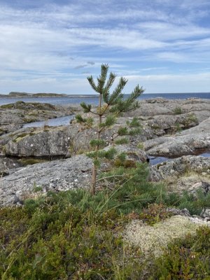 IMG_8488.jpeg IMG_8488.jpeg