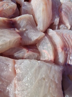 20250912_161042.jpg 20250912_161042.jpg