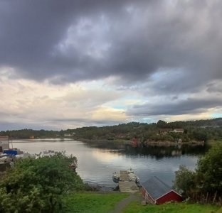 20250912_074956.jpg