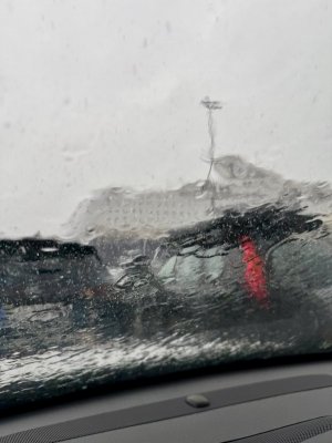 IMG_8024.jpeg IMG_8024.jpeg