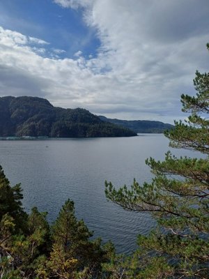 20250913_130335.jpg
