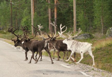 IMG_2769.JPG IMG_2769.JPG