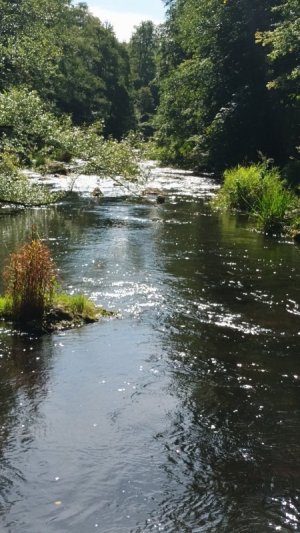 20250914_121924.jpg